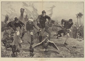 Divertimenti nel campo, una corsa di menagerie